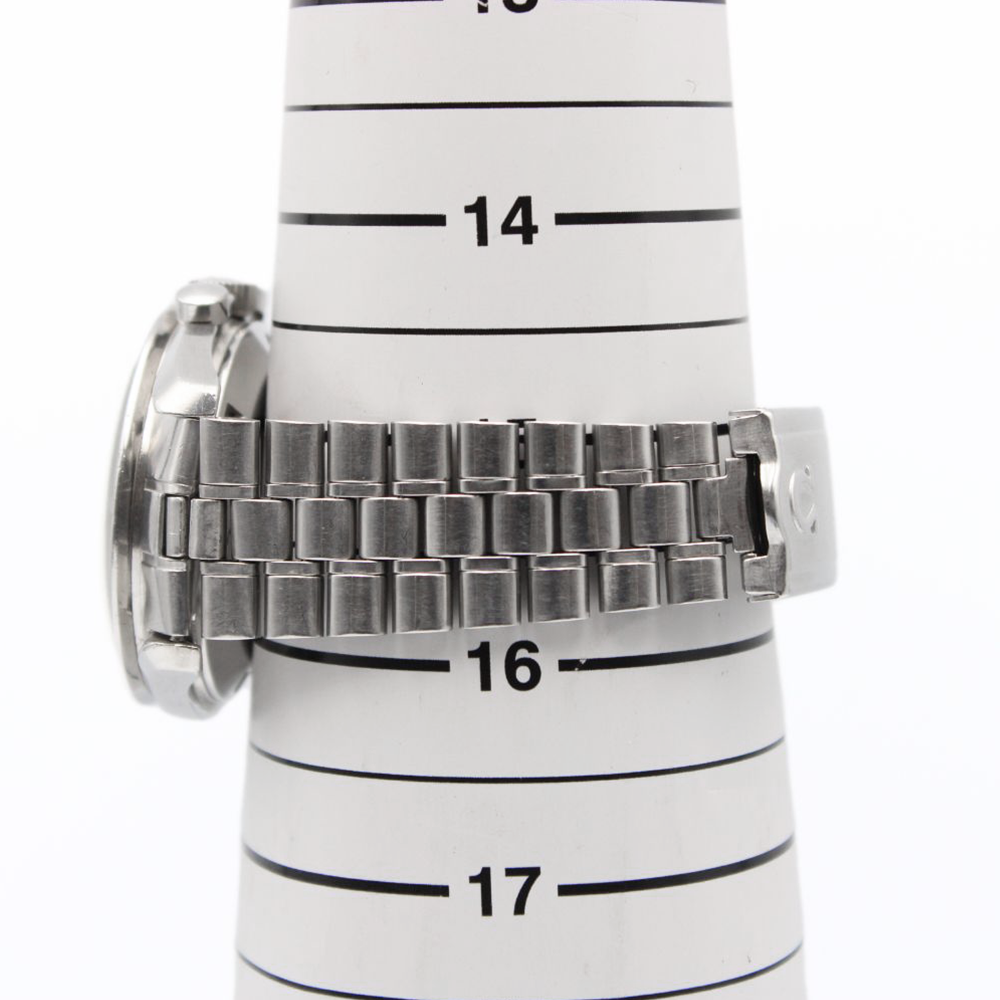 スピードマスター プロフェッショナル 105.012