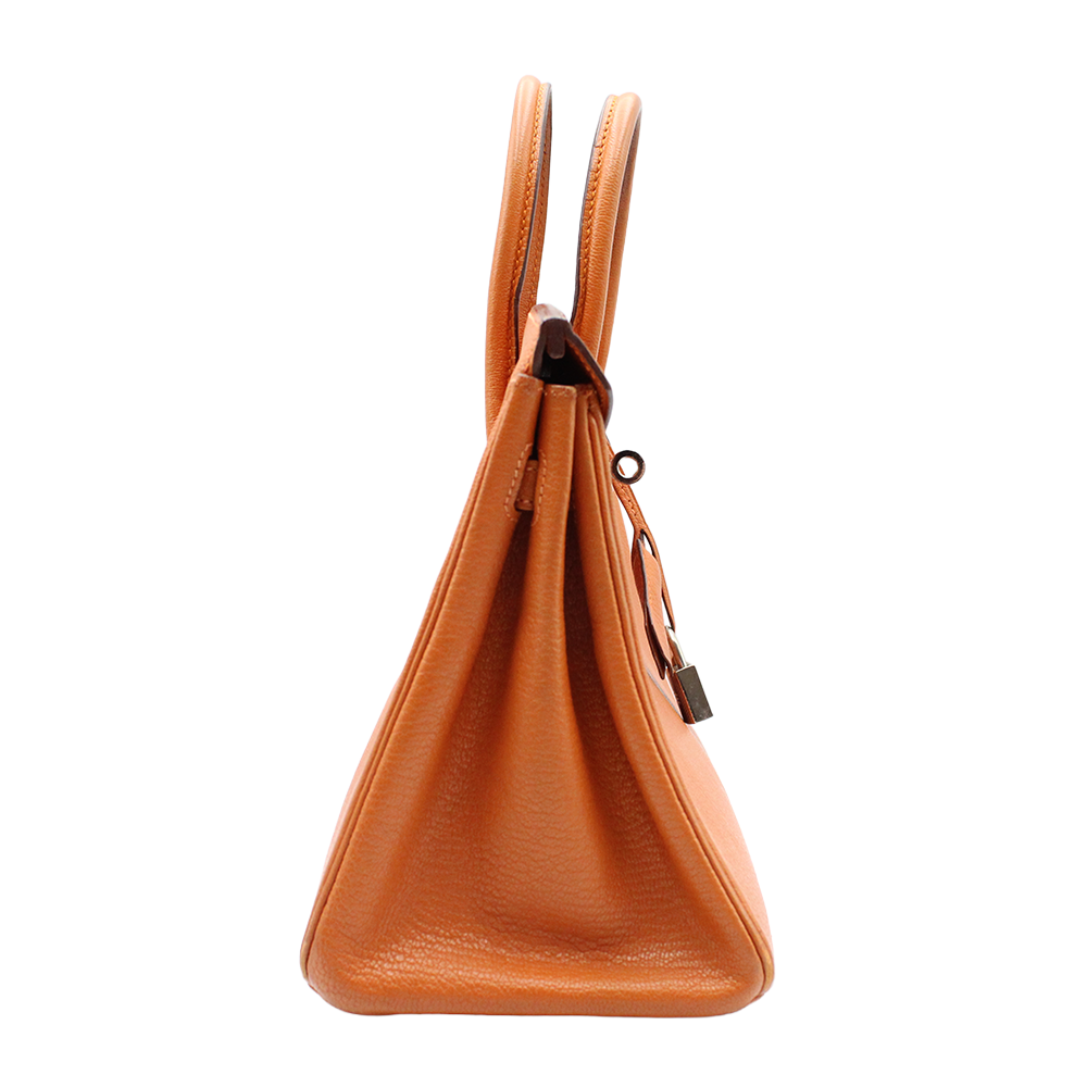 バーキン25 オレンジ/シルバー金具 トゴ