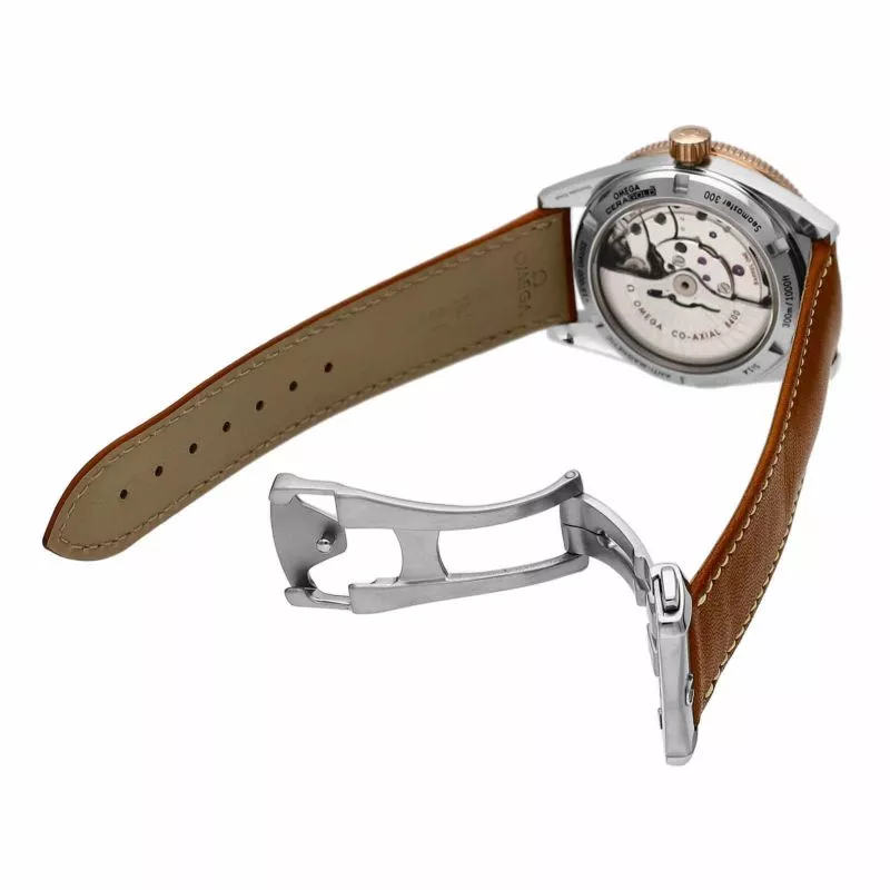 シーマスター 300 マスター コーアクシャル 41MM 233.22.41.21.01.002