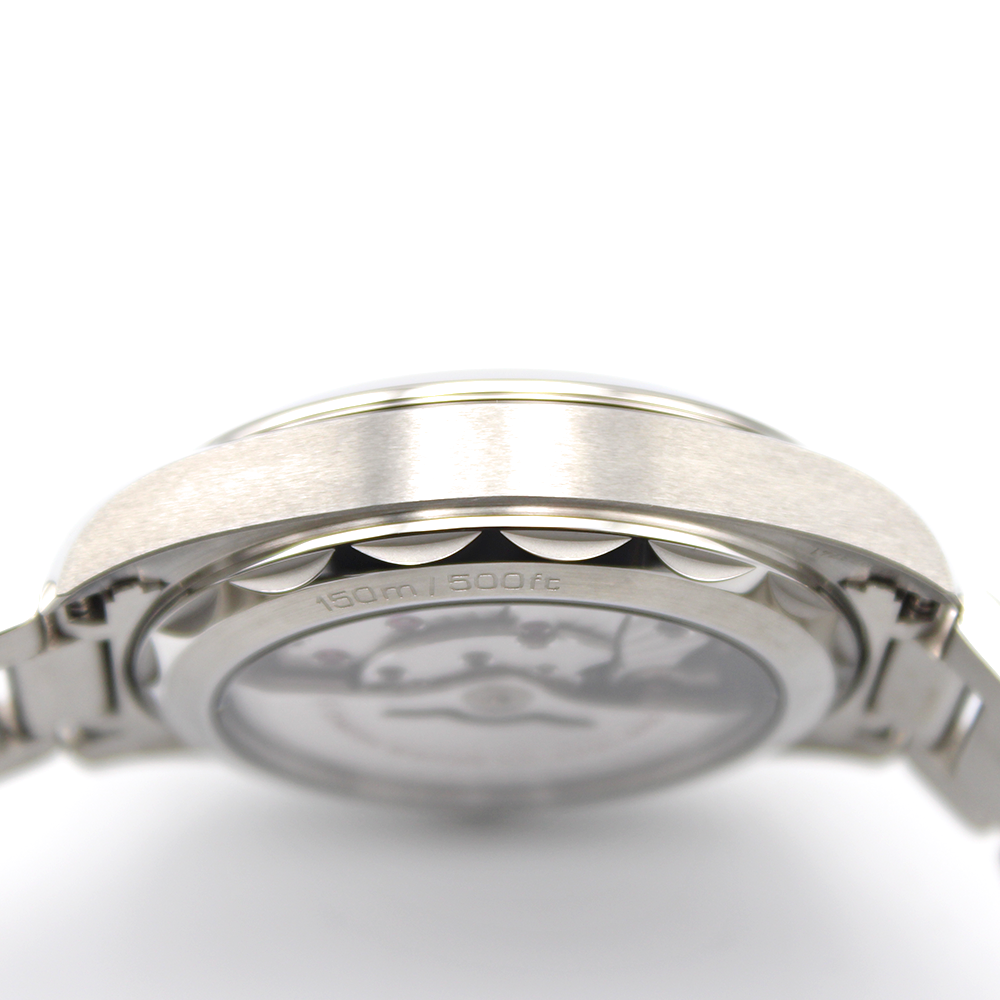 シーマスター アクアテラ 150M コーアクシャル マスタークロノメーター 41MM 220.10.41.21.03.001