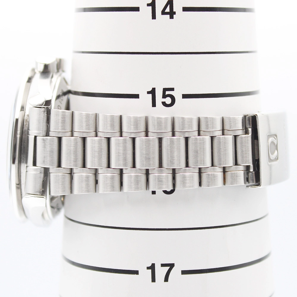 スピードマスター プロフェッショナル