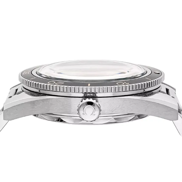 シーマスター 300 コーアクシャル マスター クロノメーター 41MM